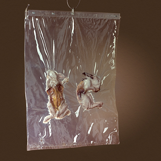 Cochon sur canapé, 1992. Detalle. Conejos momificados envasados al vacío