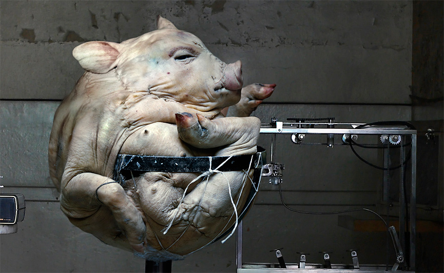 Cocina, Nicola trabajando